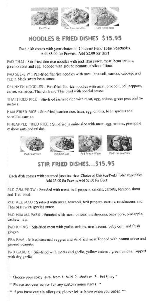 Siam Orchid menu - noodle, stir fried